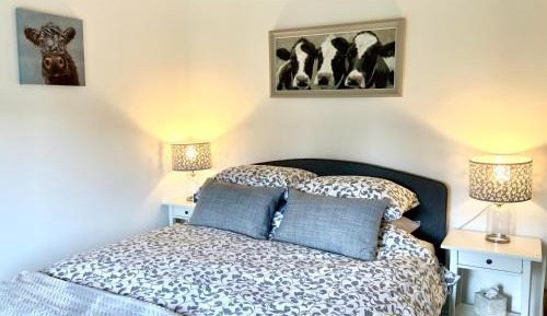 Double Room with Patio