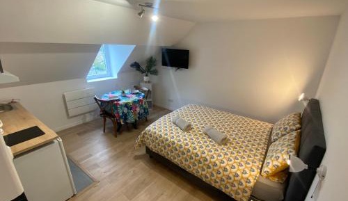 Deluxe Double Studio