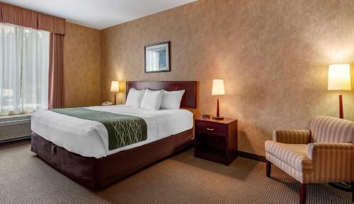 Business Suite