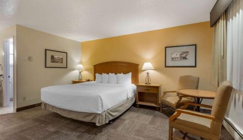 Queen Room with Two Queen Beds and Roll-In Shower - Disability Access/Non-Smoking