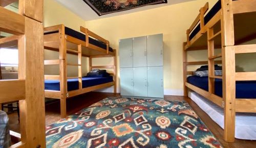 Bunk Bed in Mixed Dormitory Room