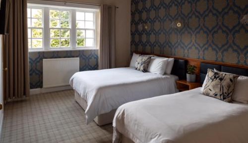 Deluxe Family Room - Pet Friendly