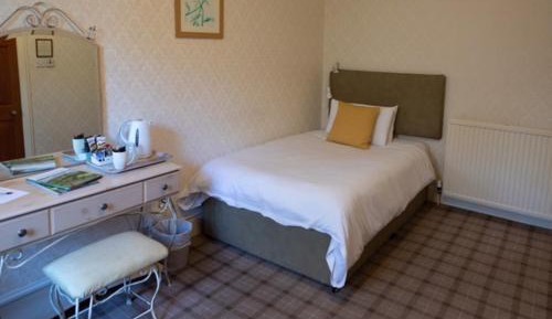 Deluxe Single Room - Pet Friendly