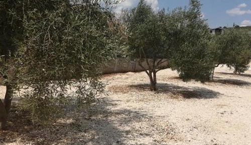 Empty Lot