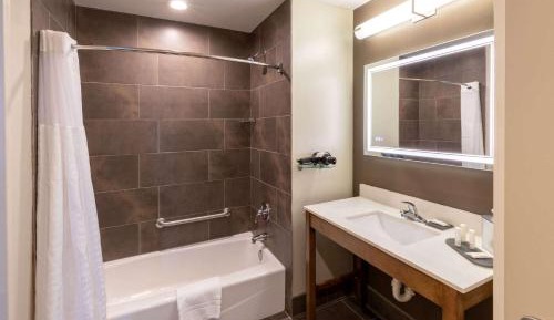 King Studio Suite with Bath Tub - Mobility Access/Non-Smoking