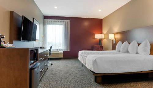 King Room with Roll-In Shower - Disability Access