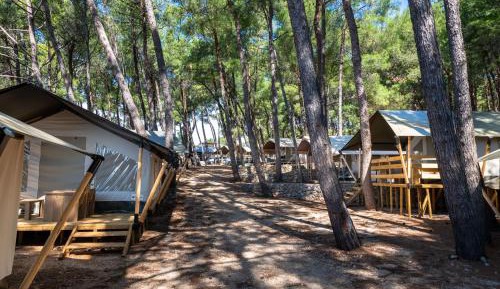 Safari Tent Comfort