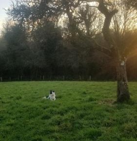 Double Room with Pool View