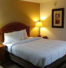 Queen Room - Non-Smoking