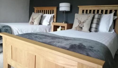 Twin Room with Private Bathroom