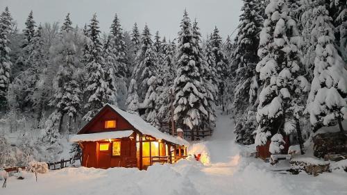 One-Bedroom Chalet