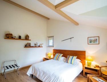 Superior Double or Twin Room with Mountain View