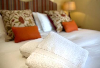 Superior Double or Twin Room with Garden View