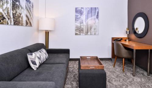 King Suite with Transfer Shower, Bathtub and Trundle Sofa - Mobility Access/Hearing Accessible