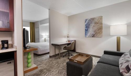 King Suite with Trundle Sofa