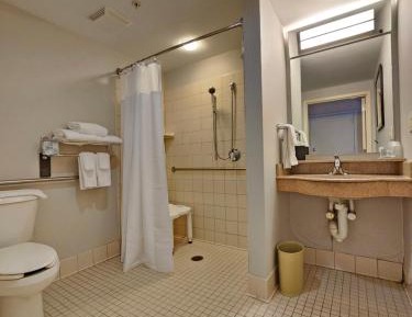 King Room with Sofa Bed and Roll-in Shower - Mobility and Hearing Accessible