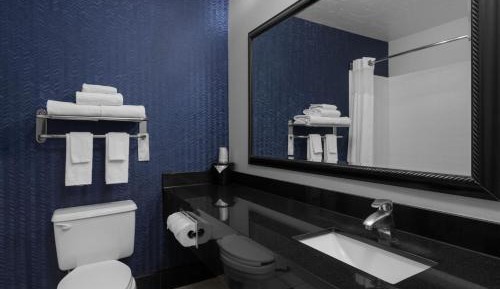 Larger Studio, 1 King, Sofa bed