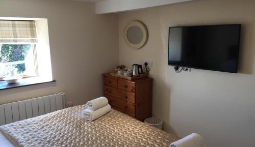 Large Double or Twin Room