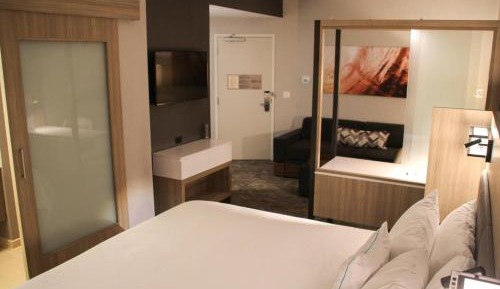 King Suite with Sofa Bed