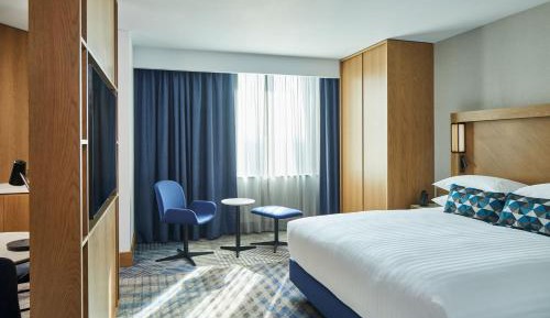 Junior King Suite with Sofa Bed