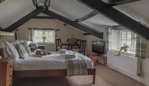 Superior Family Room