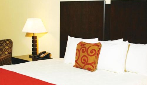 Standard King Room