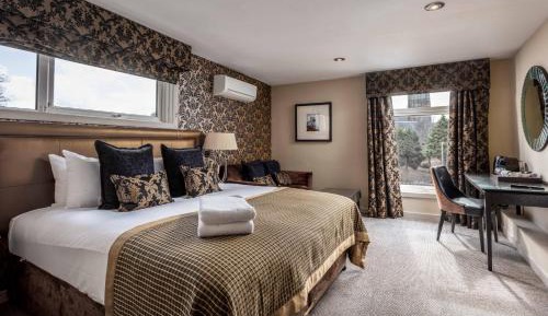 Executive King or Twin with Sofa Bed