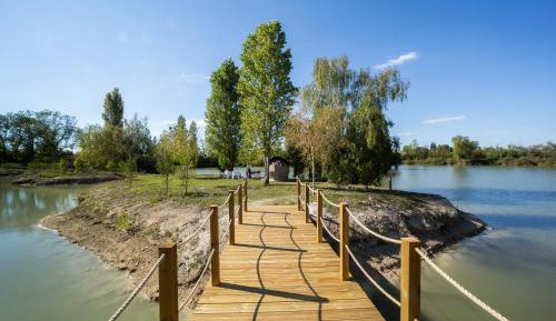 Starry Bubble on Island