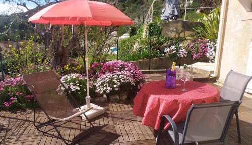 Studio with Garden View