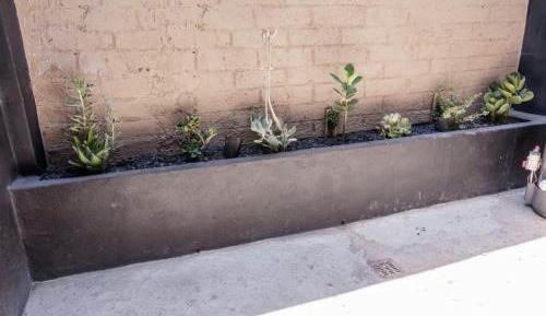 Studio with Sofa Bed