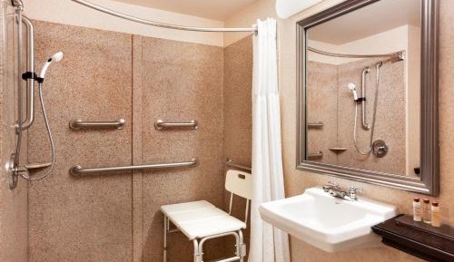 King Room with Roll-In Shower or Bathtub - Mobility Accessible/Non-Smoking