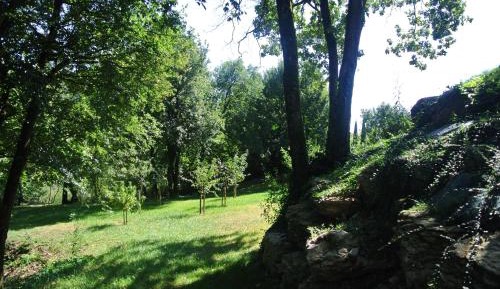 Apartment with Garden View
