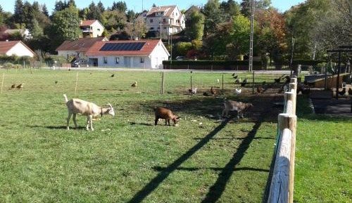 Triple Room with Bathroom