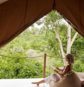 Tent with Jungle View