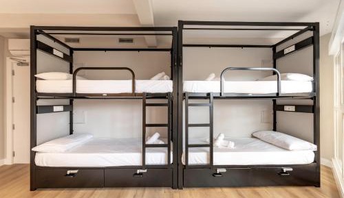 Top bunk Bed in Mixed Dormitory Room