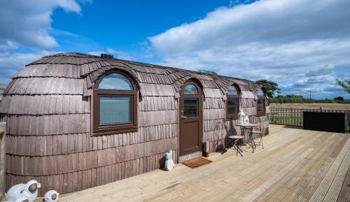 King Room with Garden View