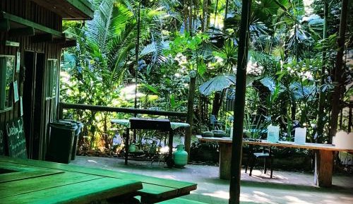 Jungle Double Room with Shared Bathroom