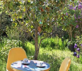 King Room with Garden View