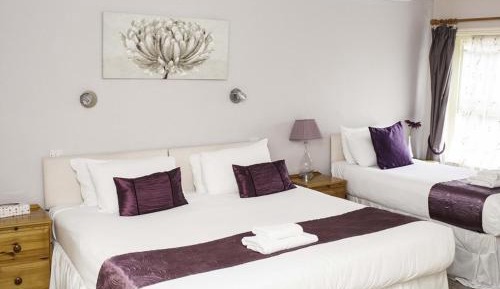 Superior Family Room