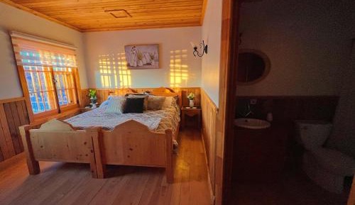 Suite with Terrace