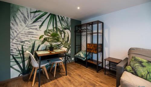 Studio with Sofa Bed