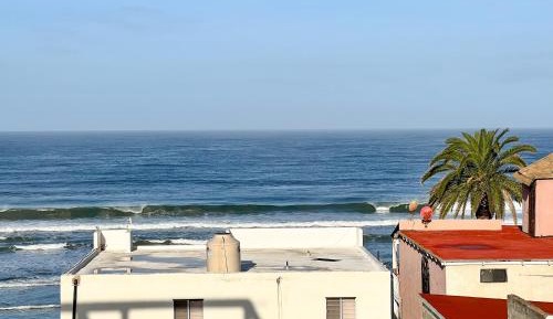 Single Bed in 10-Bed Dormitory Room