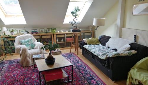 Double Room with Mountain View