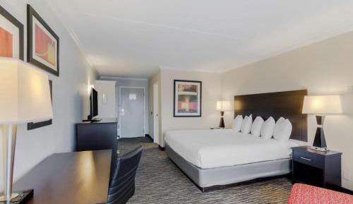 King Room - Non-Smoking