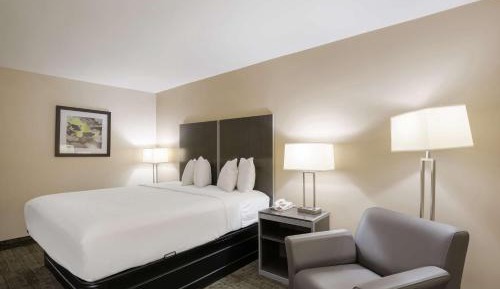King Room - Non-Smoking