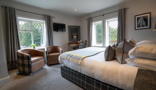 King Room (No pets allowed)