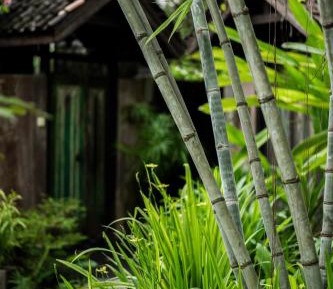 Three-Bedroom Bungalow