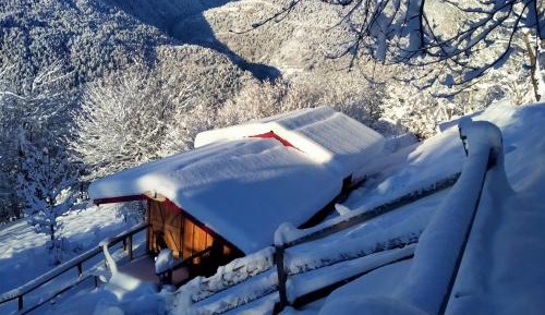 Double Room with Mountain View