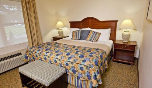 One-Bedroom Apartment (6 Adults)