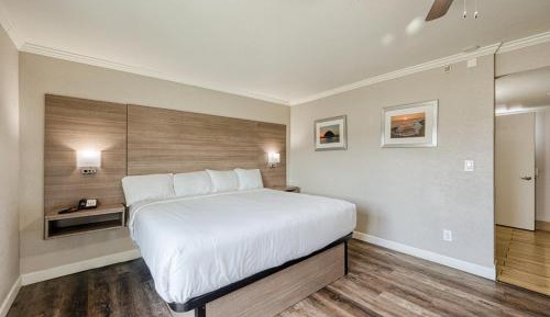 King Room - Disability Access/Non-Smoking